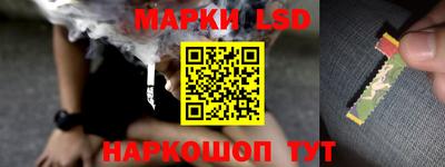 крисы Кулебаки