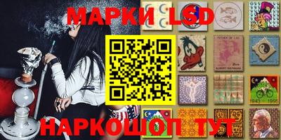 крисы Кулебаки