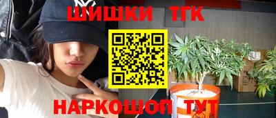 крисы Кулебаки