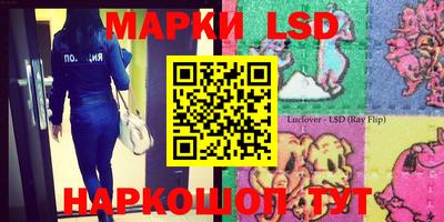 крисы Кулебаки