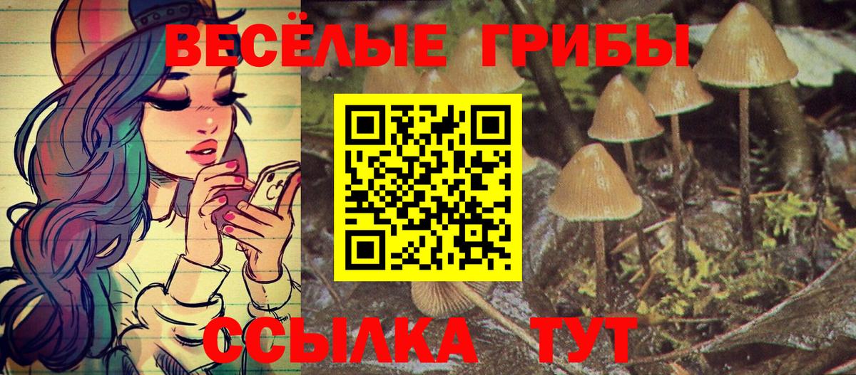 Псилоцибиновые грибы GOLDEN TEACHER  Псилоцибиновые грибы мицелий  Вход с VPN  Юрга 