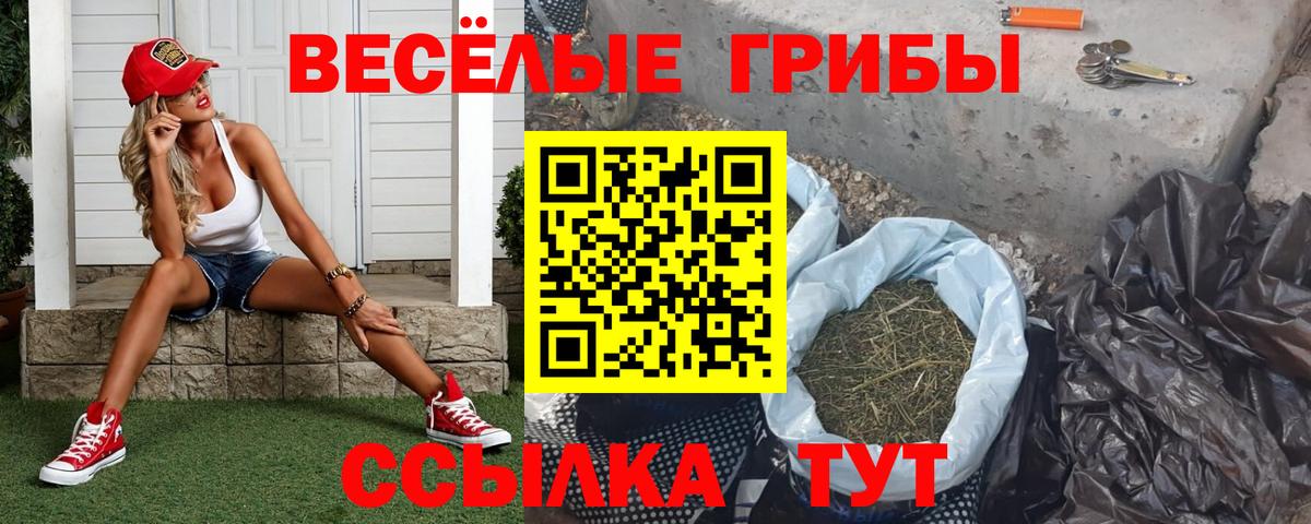 Псилоцибиновые грибы прущие грибы Юрга